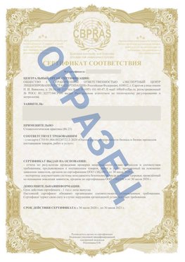 Образец Сертификат СТО 01.064.00220722.2-2020 Веселый Сертификат СТО 01.064.00220722.2-2020 